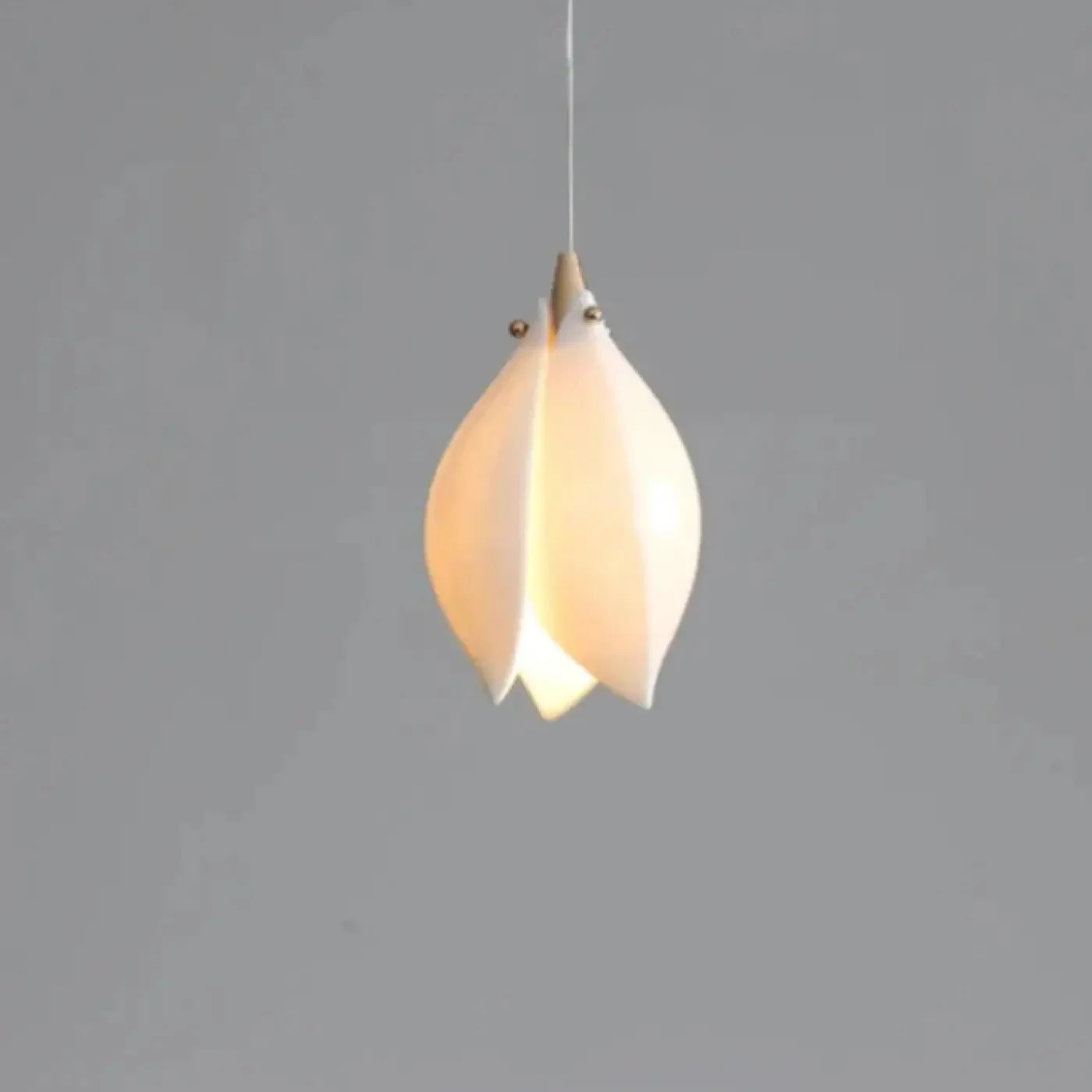 Suspension Luminaire | FEUBLE