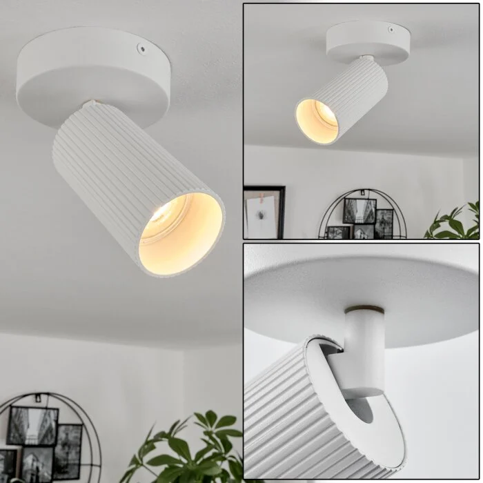 Trutielle Lámpara de Techo Blanca, 1 luz