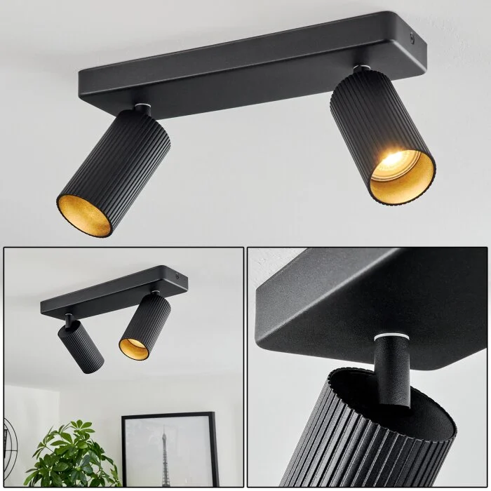 Trutielle Lámpara de Techo Negro, 2 luces