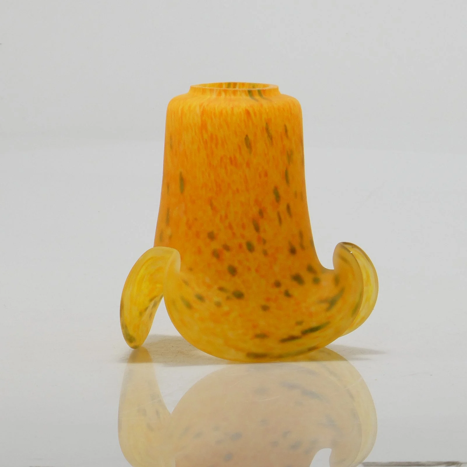 Tulipán naranja con semilla verde y tallo largo