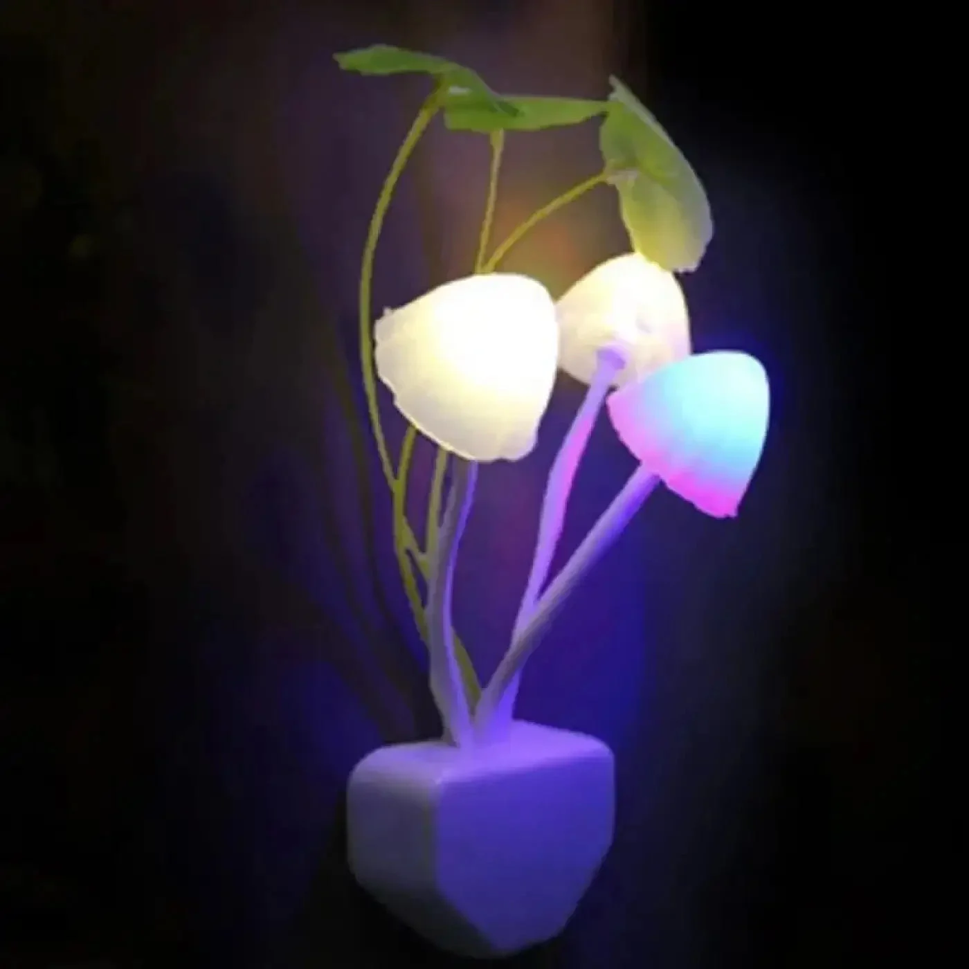 Luz nocturna | VOUNI