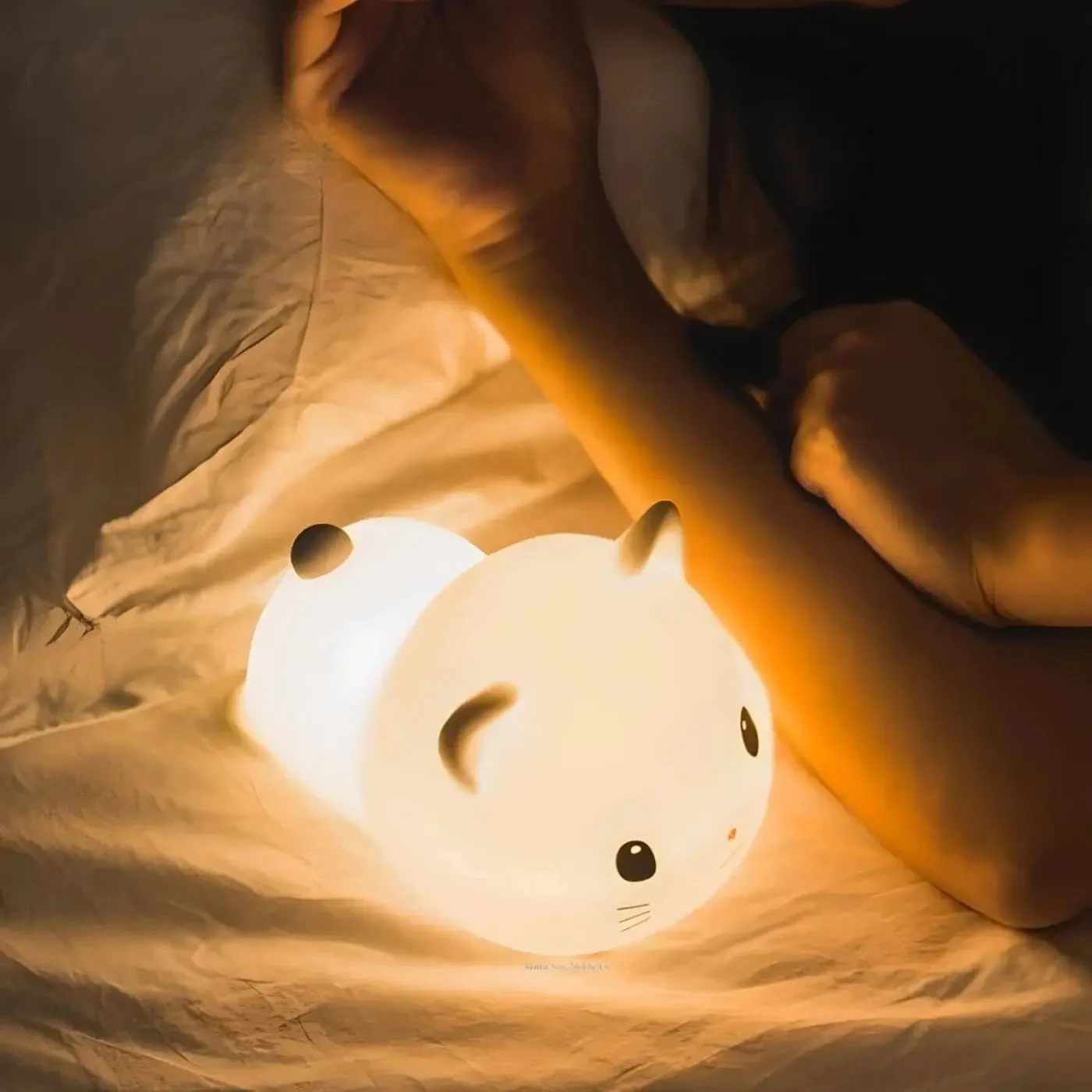 Luz nocturna | RABITO