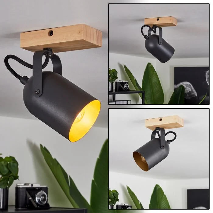 Vergoignan Lámpara de Techo Crudo, Negro, 1 luz